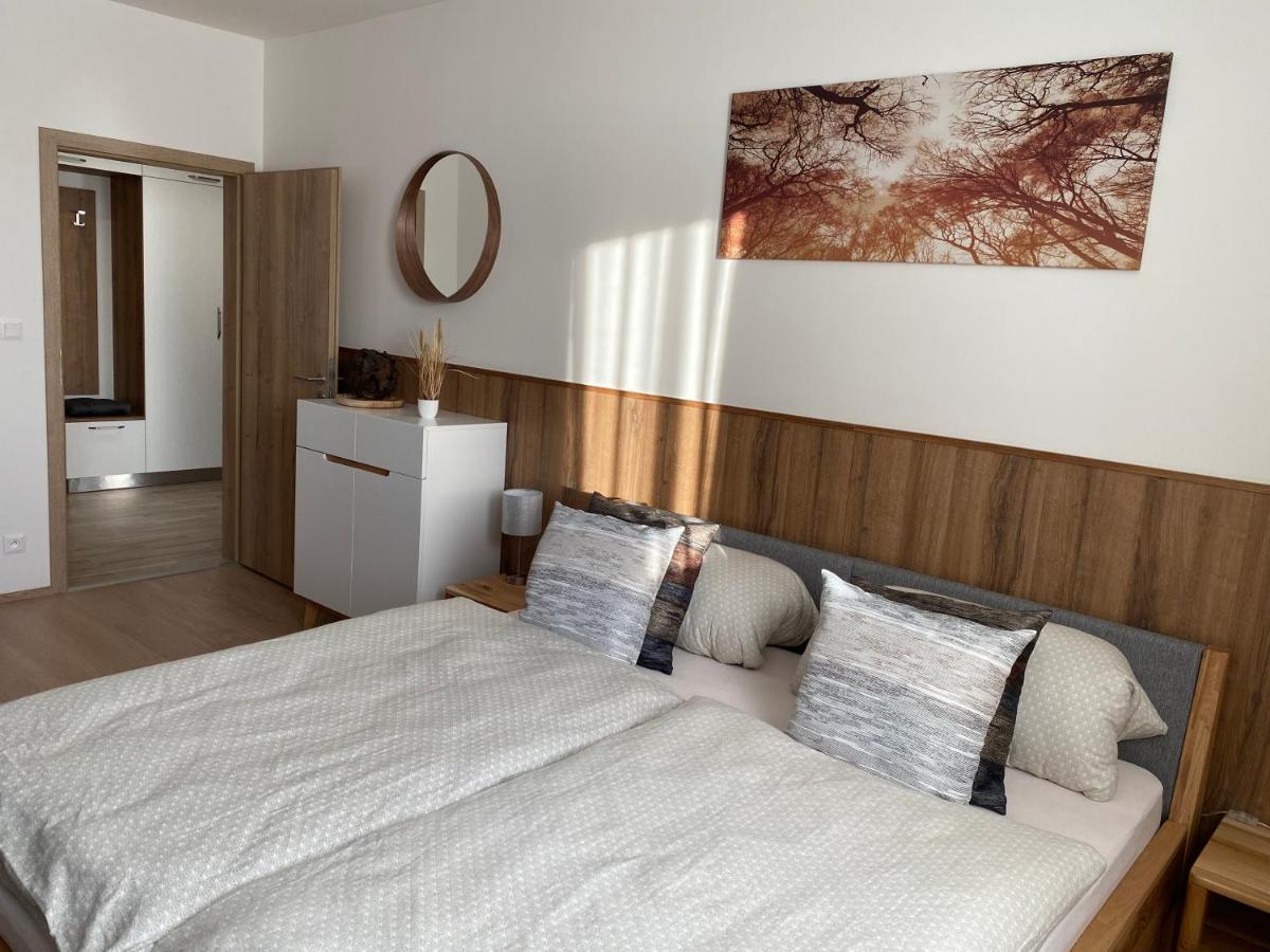 Apartment Petra Klinovec Loučná pod Klínovcem Exterior foto